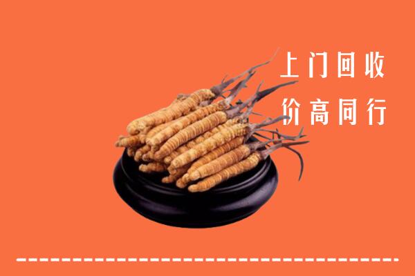 高价求购：信阳市商城县回收散虫草